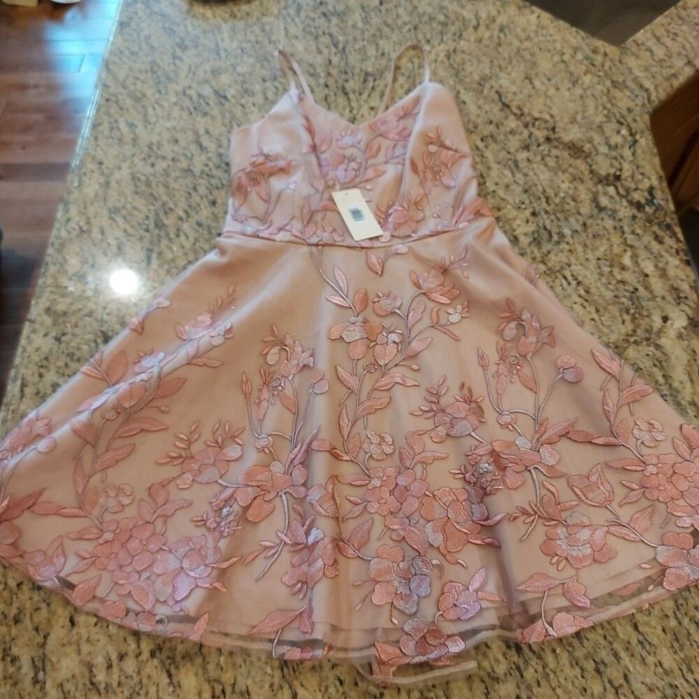 Two Sisters Dress Lace The Label Sz 8 Floral NWT Peach Sleeveless Easter Spring